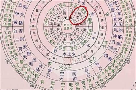 怎麼查八字|生辰八字查询